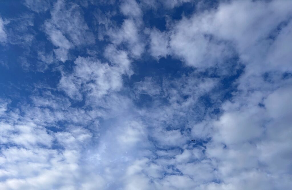 skies