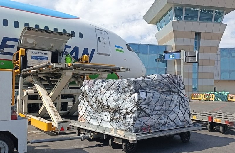 Uzbekistan boosts air cargo traffic by 33%